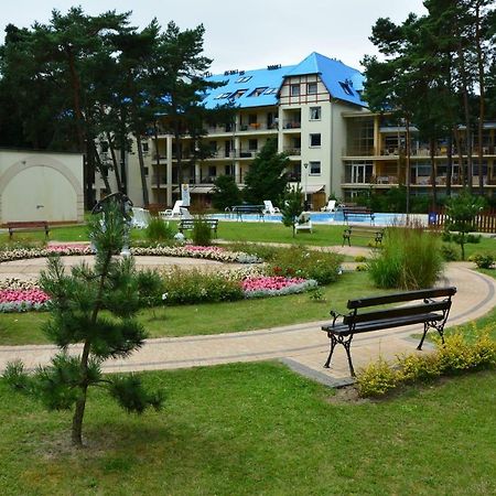 Dmuchawiec Лукенцин Экстерьер фото