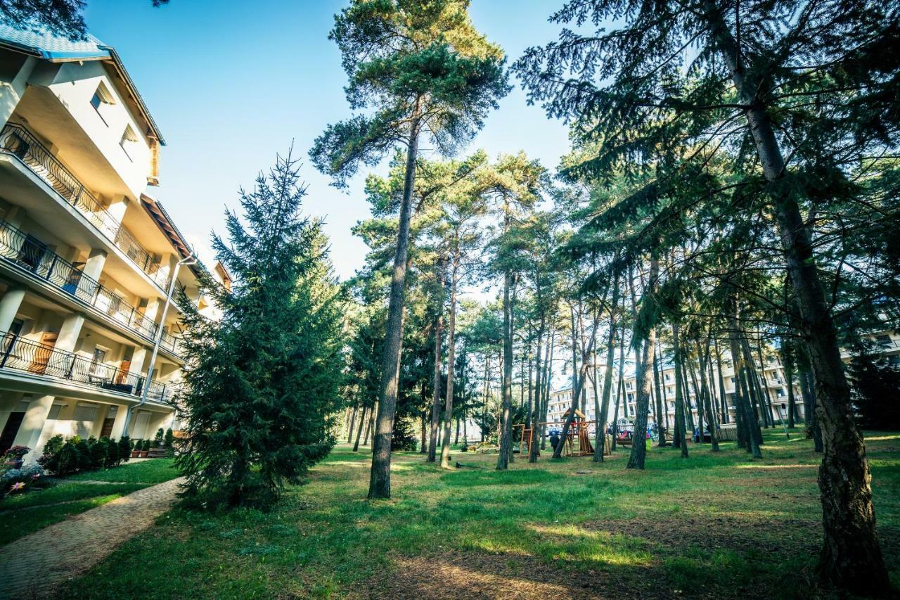 Dmuchawiec Лукенцин Экстерьер фото
