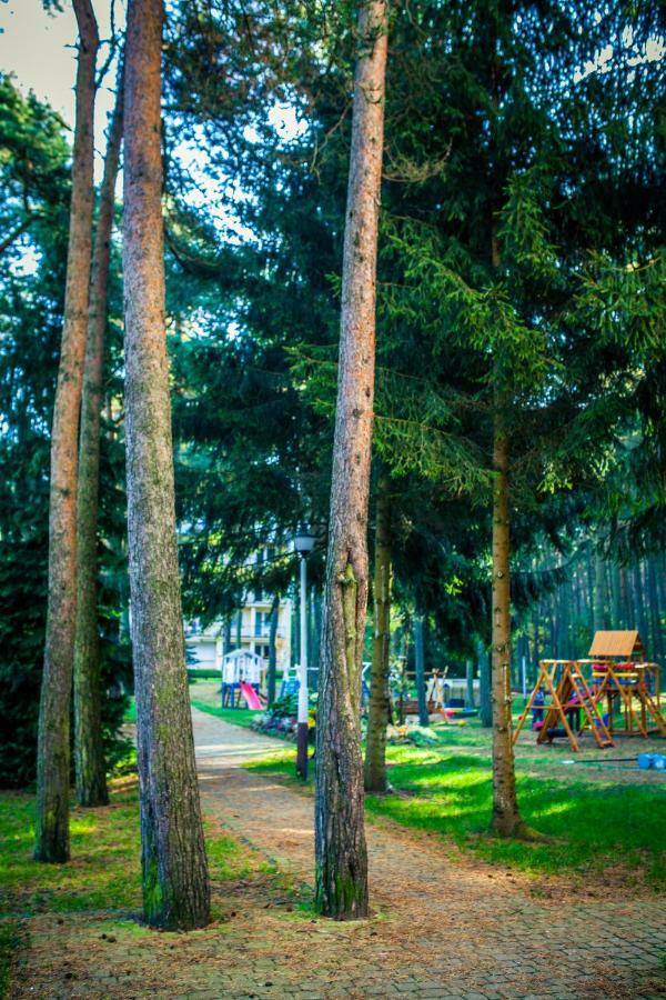 Dmuchawiec Лукенцин Экстерьер фото