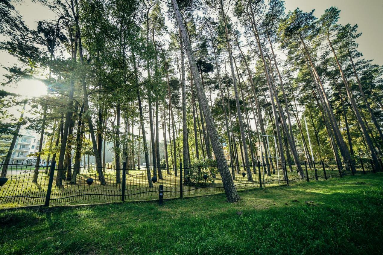 Dmuchawiec Лукенцин Экстерьер фото